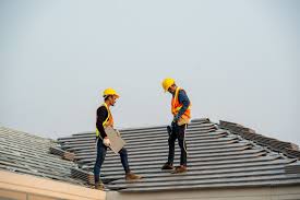 Roof Moss and Algae Removal in Centennial, CO